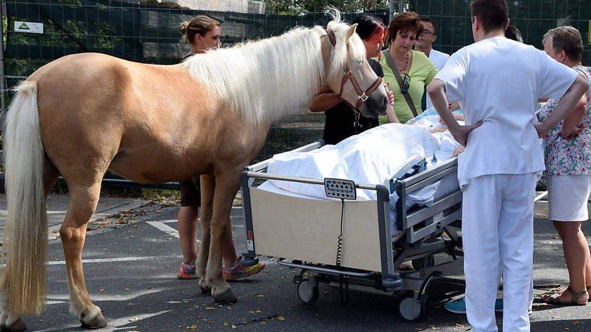 Das Bett der Patientin wurde für die Begegnung nach draußen gerollt