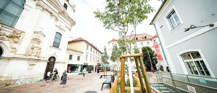 Begrünt wird Graz laufend – hier frisch gepflanzte Bäumchen am Mariahilferplatz – doch dem WWF fehlt wie auch in Wien ein übergreifender Stadtbegrünungsplan