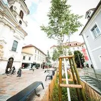 Begrünt wird Graz laufend – hier frisch gepflanzte Bäumchen am Mariahilferplatz – doch dem WWF fehlt wie auch in Wien ein übergreifender Stadtbegrünungsplan