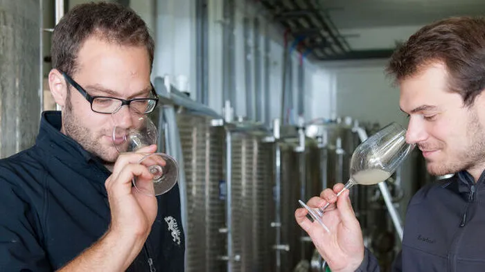 Die Winzerbrüder Stefan und Bernhard Schauer aus Kitzeck wurden von der Gourmet-Bibel "Gault Millau" als "Entdeckung des Jahres" gefeiert.