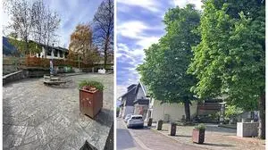 Am Dorfplatz in Baldramsdorf steht nur mehr eine Linde | Die 40 Jahre alte Linde am Dorfplatz ist Geschichte