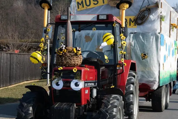 Die liebevoll geschmückten Wagen, organisiert von den örtlichen Vereinen, waren ein echter Hingucker.