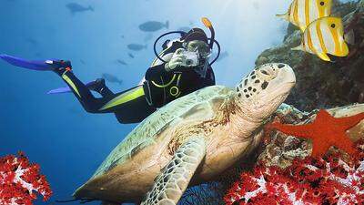 Die Unterwasserwelt des Tauchparadieses Port Ghalib ist noch ein Geheimtipp