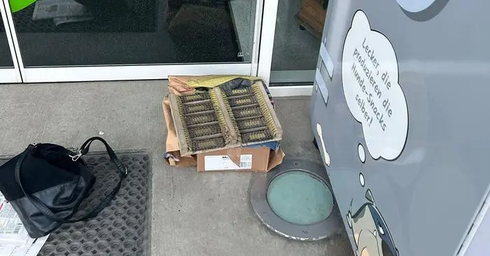 In dieser Schachtel unter dem Schuabstreifer lag die tote Katze