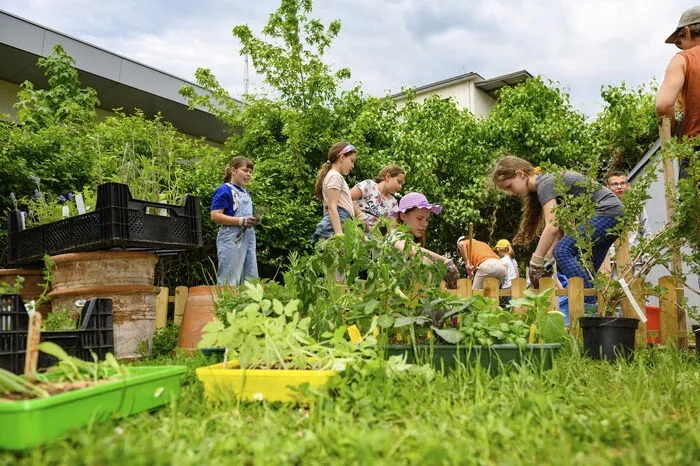 Sie pflanzten Hecken, gestalteten Blumenwiesen und zimmerten Insektenhotels und Vogelnistkästen.