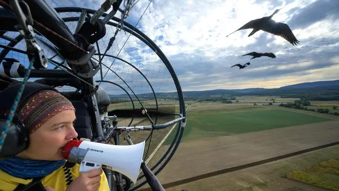 Ziehmutter Eszter Bajka an der Seite der Waldrappe, das Paraplane wird pilotiert von Johannes Fritz