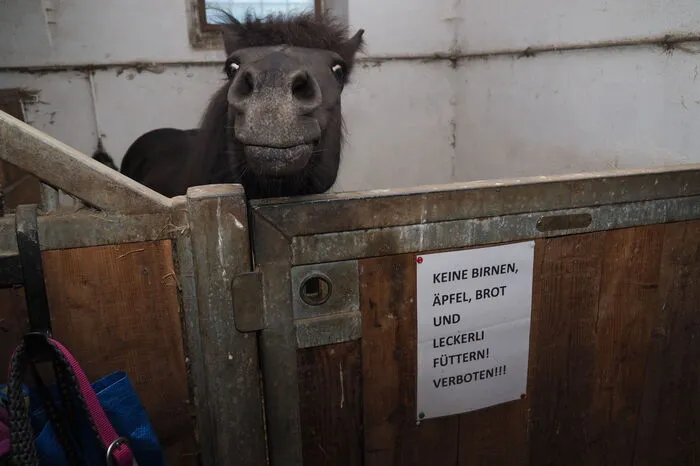 Bitte klicken Sie sich durch die Bilder. . .