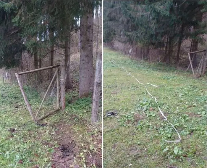 Das aufgebrochene Tor und der deaktivierte Elektrozaun in Friesach