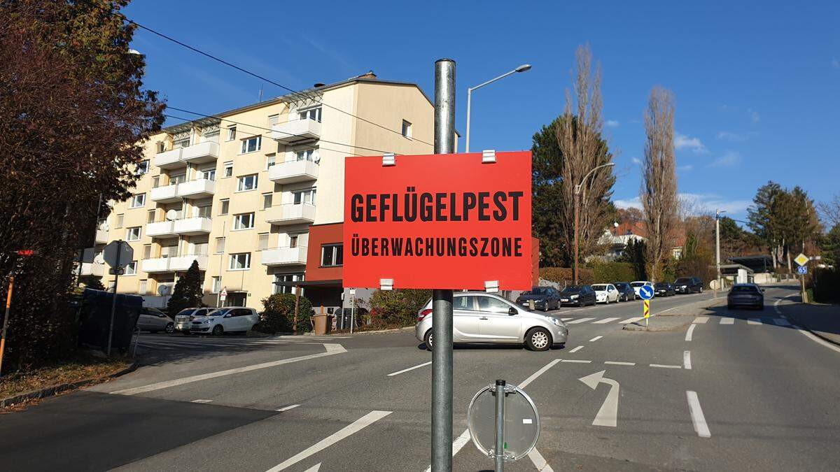 Da schau her: Viele Autolenker erwischt diese Tafel am falschen Fuß