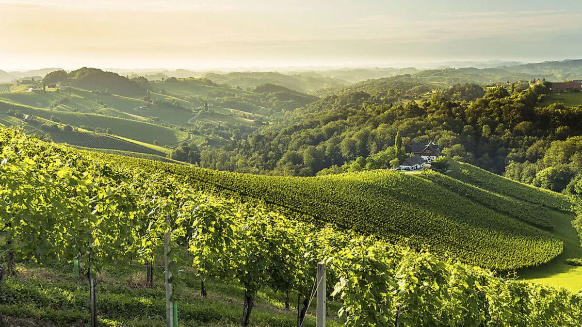 Einfach paradiesisch: Die Südsteiermark! 