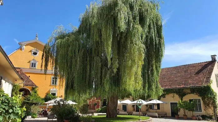 Das Schloss Gamlitz in der Südsteiermark: Kilgers Betriebsgesellschaft ging pleite und wurde geschlossen, Hochzeiten finden dennoch statt 
