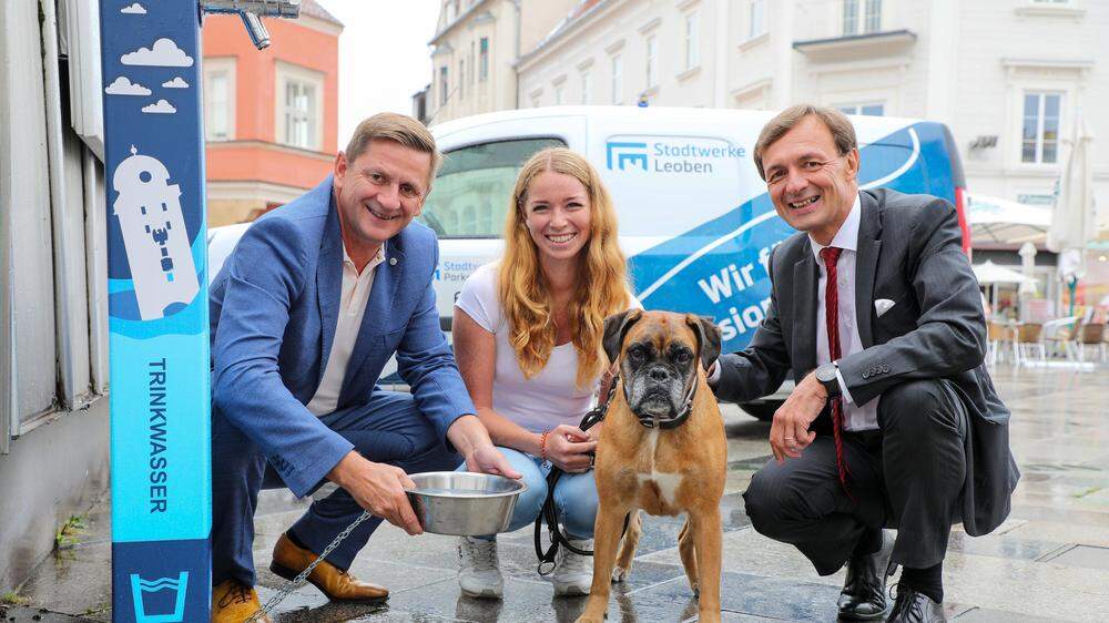 Vor mehr als zwei Jahren statteten die Stadtwerke Leoben einen Großteil ihrer Trinkwasserbrunnen mit Trinkschalen für Hunde aus