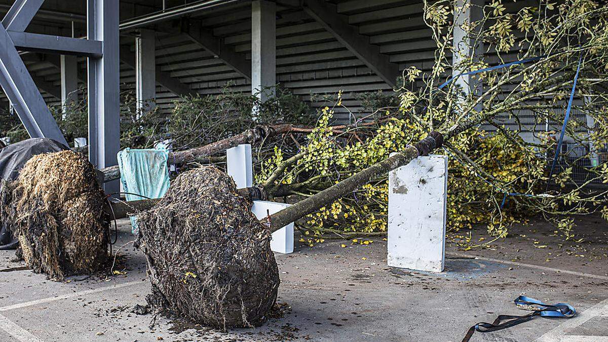 For Forest ist vorbei, der Rechtsstreit hat erst angefangen