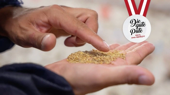 Gentechnisch nicht verändertes Futter ist ein Alleinstellungsmerkmal der guten AMA Pute. Soja kommt vorwiegend aus Europa, der Mais oft von den eigenen Feldern der Putenbauern