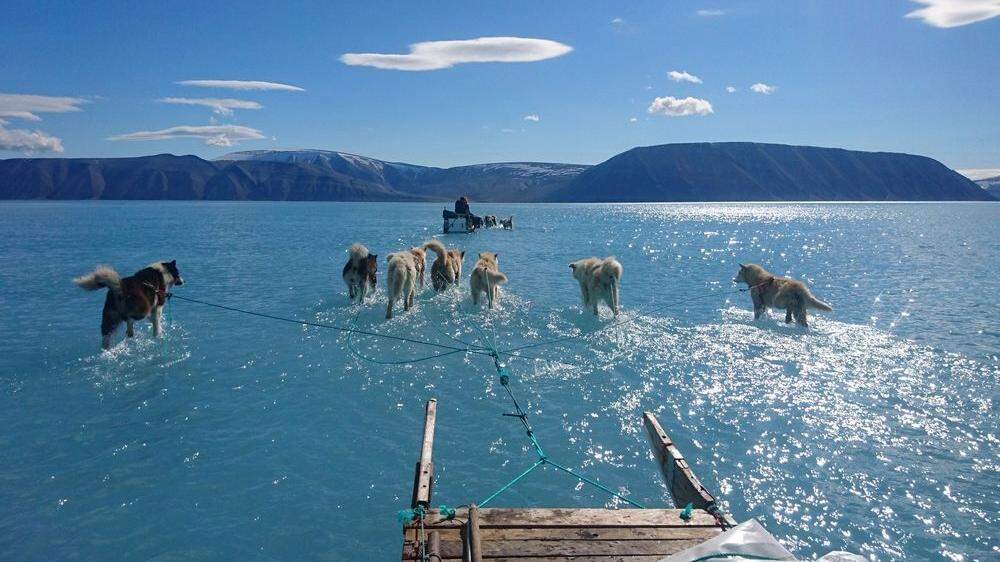Die Arktis taut immer schneller - dieses Bild aus Grönland ging kürzlich um die Welt