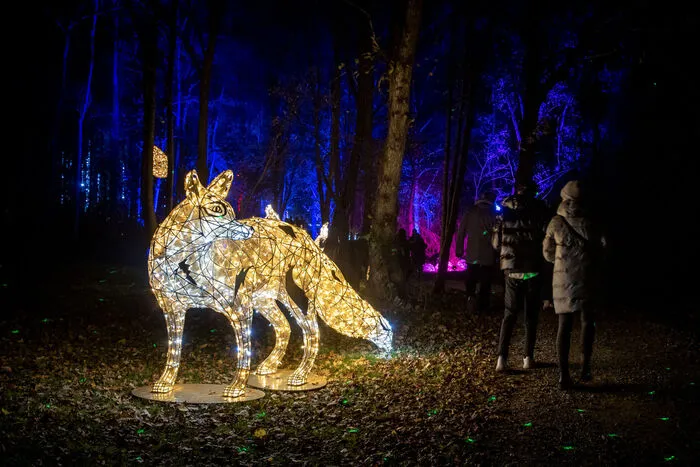 "Lumagica", der magische Lichterpark, verzaubert noch bis 8. Jänner die Besucher des Golfclubs Murhof bei Frohnleiten