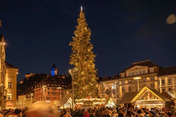 25.000 LED-Lichter beleuchten die Riesen-Fichte – heuer ein Geschenk der Gemeinde Hirschegg-Pack an die Landeshauptstadt.