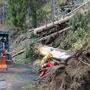 Rund eine Million Festmeter Holz fiel dem Sturmtief „Vaia“ zum Opfer