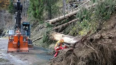 Rund eine Million Festmeter Holz fiel dem Sturmtief „Vaia“ zum Opfer