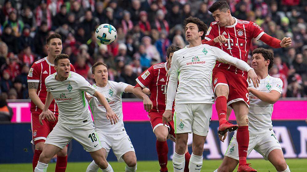 Zwei Mal bekommt es der FC Bayern innerhalb kurzer Zeit mit Werder Bremen zu tun