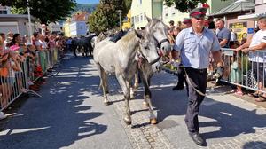 Traditionell werden die Junghengste beim großen Almabtrieb der Lipizzaner in Maria Lankowitz und Köflach (Foto) von Tausenden Besuchern empfangen