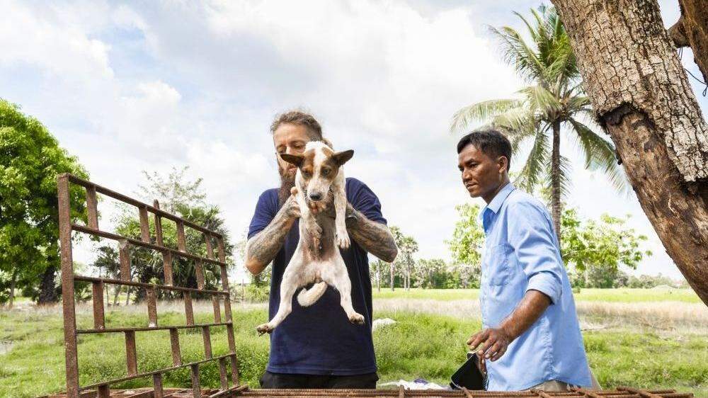 Vier Pfoten schloss großes Hunde-Schlachthaus in Kambodscha