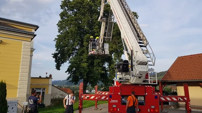 Klicken Sie sich durch die Bilder der Rettungsaktion!