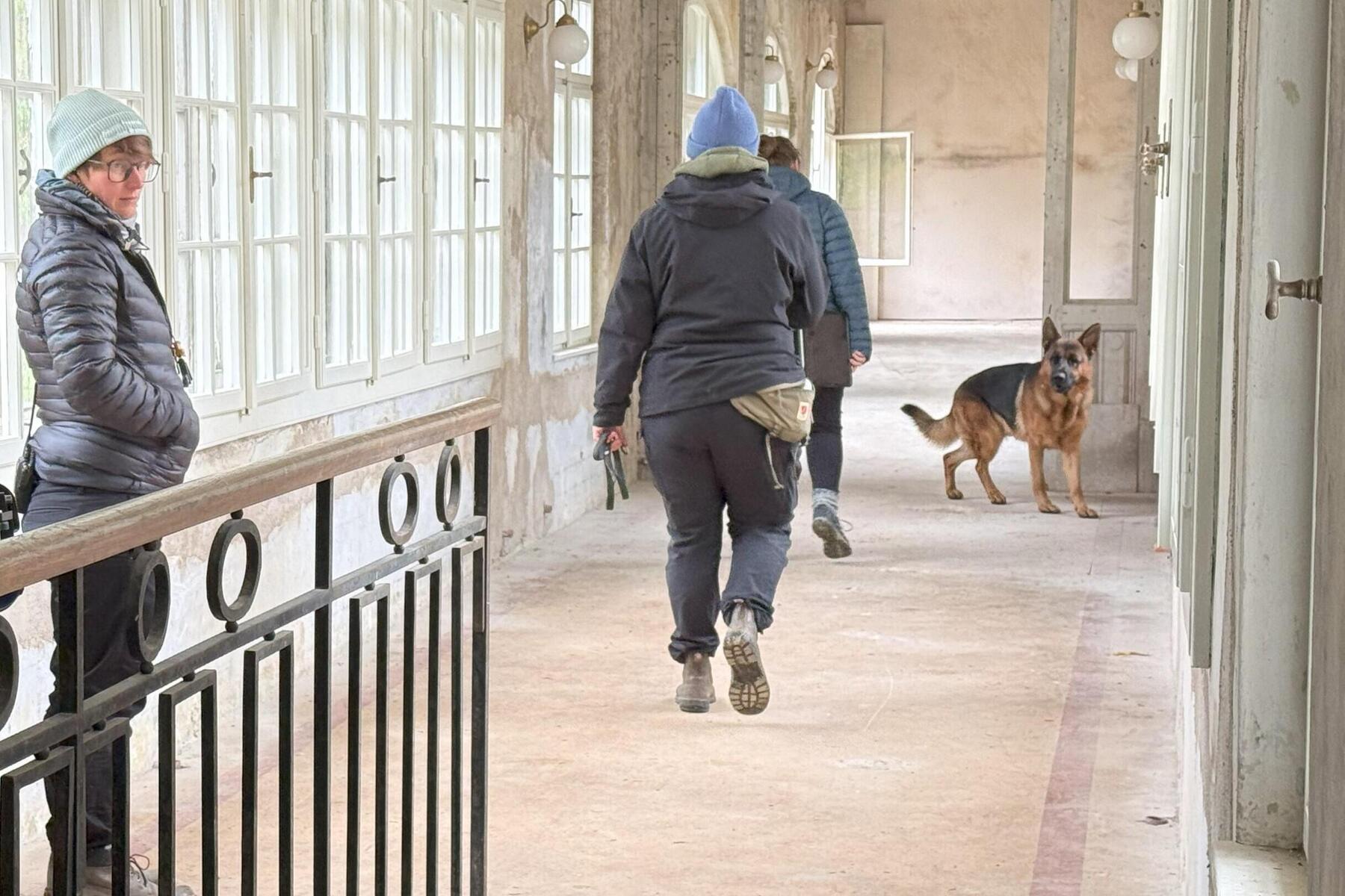 Neue Folge: Warum Kommissar Rex im Südbahnhotel ermittelt