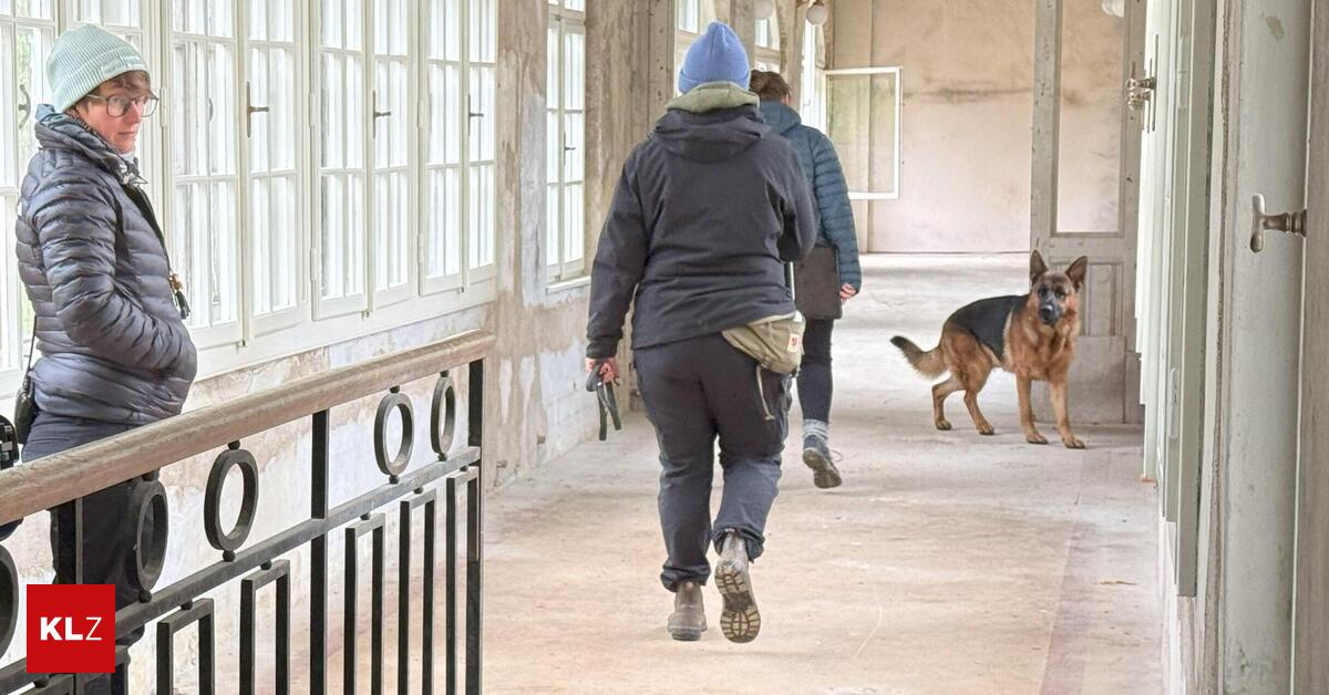 Neue-Folge-Warum-Kommissar-Rex-im-S-dbahnhotel-ermittelt