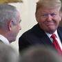Trump hatte den Plan im Weißen Haus in Anwesenheit des israelischen Ministerpräsidenten Benjamin Netanyahu vorgestellt