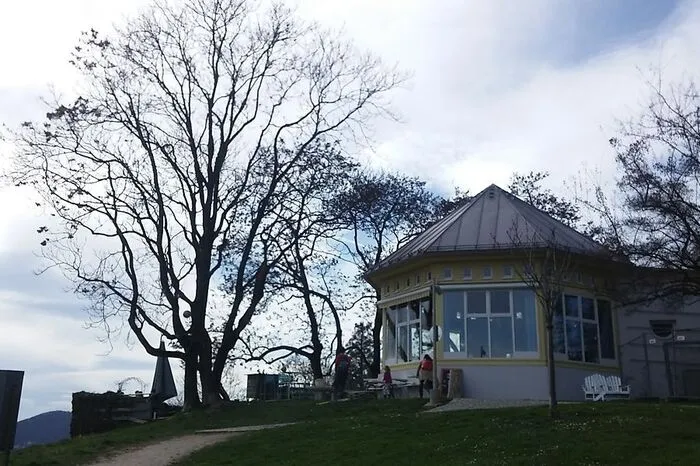Zuerst durch den schattigen Leechwald spazieren, dann in der Sonne auf der Terrasse des Cafe Rosenhain den Kaffee genießen: klingt nach einem guten Plan für den frühen Frühling.