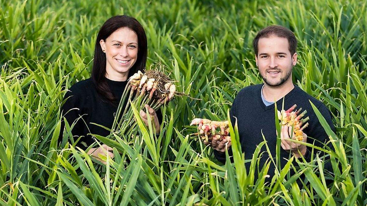 Machten Straden zur tropischen Zone: Irene Gombotz und Armin Lenz produzieren Bio-Ingwer für Spar