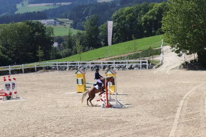 Nach der Dressurprüfung am Samstagvormittag ging es Nachmittag mit dem Springen actionreicher zur Sache.
