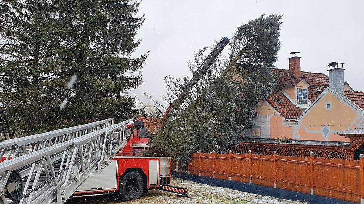 Ein Baum kippte auf ein Hausdach in Trofaiach