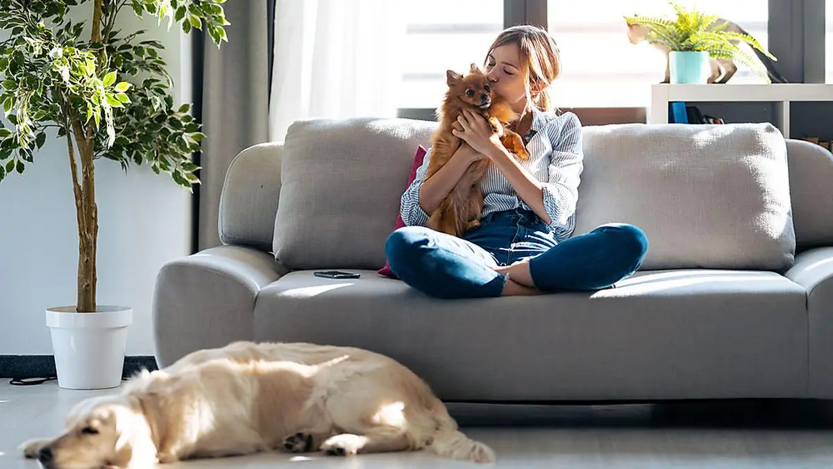 Tiere helfen ihren Besitzern nicht nur durch die Zeit des Lockdowns – sie sind Lebenspartner für viele Jahre 