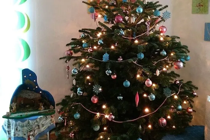 Nicole Pichler hat ihren echten Baum in rot und blau geschmückt: "Eine heimische Tanne, die viel Platz zum Wachsen bekommen hat. Das verdankt Sie den fleißigen Schafen, die im Sommer das hohe Gras um die Bäumchen abweiden."