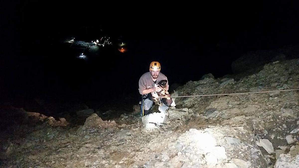 Mittels Seil wurde der Hund geborgen 