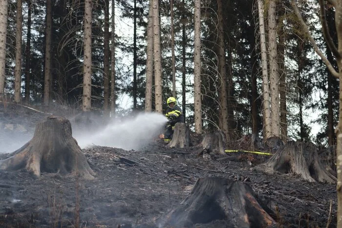 16 Feuerwehren mit mehr als 200 Einsatzkräften kämpfen gegen die Flammen