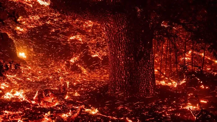 Das Feuer in der Nähe des Ortes Geyserville nördlich von San Francisco sei derzeit außer Kontrolle, erklärte die örtliche Polizei Donnerstagfrüh.