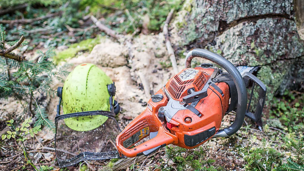 Schrecklicher Forstunfall in Großklein (Sujetfoto)