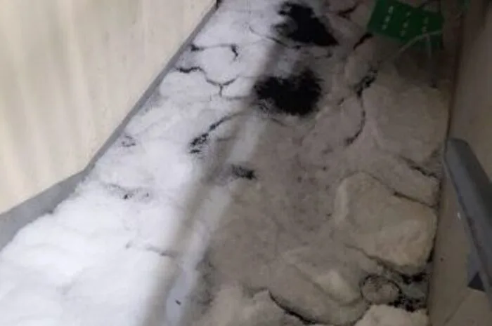 15 Einsatzkräfte sind mit drei Fahrzeugen ausgerückt und haben die Einsätze nacheinander abgearbeitet.