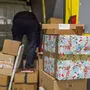 In Leoben-Judendorf gab es in den vergangenen Tagen massive Versäumnisse bei der Paketzustellung