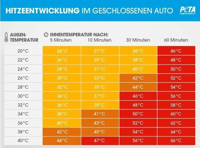 Hitzeentwicklung im geschlossenen Auto 
