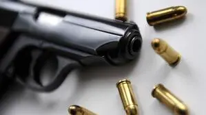 Das Bild zeigt eine Waffe und Munition