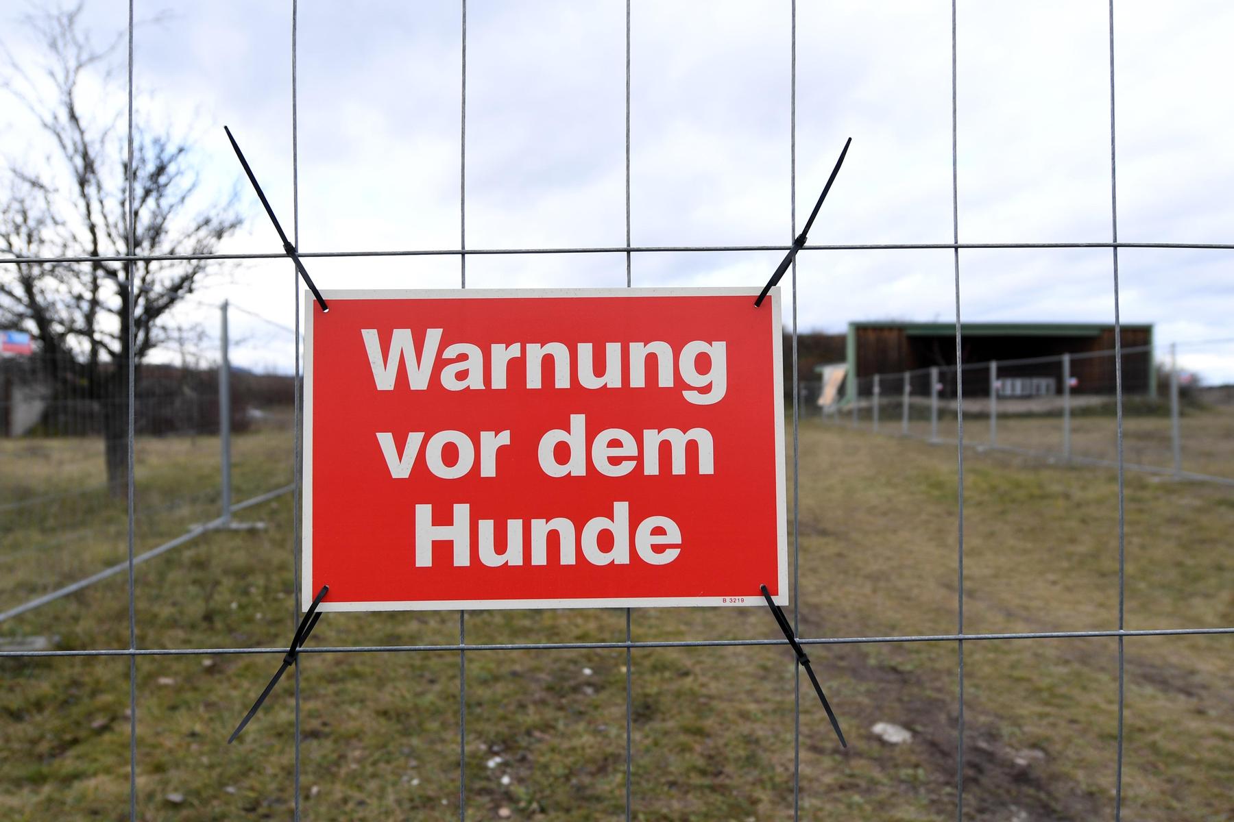 Hund in Stresssituation: Hunde biss Frau ins Gesicht: Wie lassen sich Attacken verhindern?