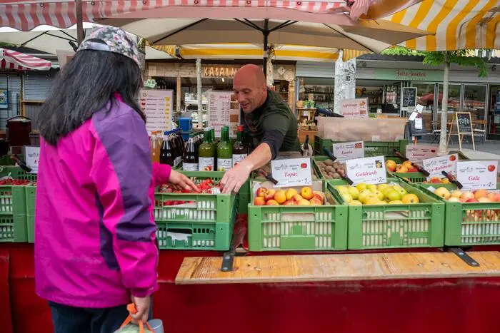 Bei Edi Laposa gibt es schon frische Erdbeeren, im Moment braucht er allerdings zum Gießen 150 Kubikmeter Wasser pro Tag – statt vier