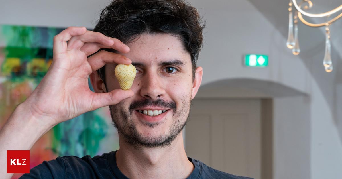 Von wegen unreifes Früchtchen: Harald Irka bringt mit fermentierten ... Von wegen unreifes Früchtchen: Harald Irka bringt mit fermentierten ...