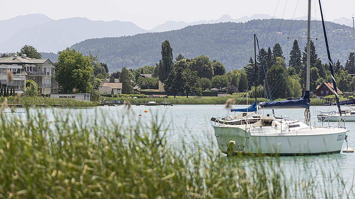 In diesem Bereich ist eine Lagune samt Erweiterung des Wörthersees geplant. Jetzt wurde die wasserrechtliche Bewilligung vertagt