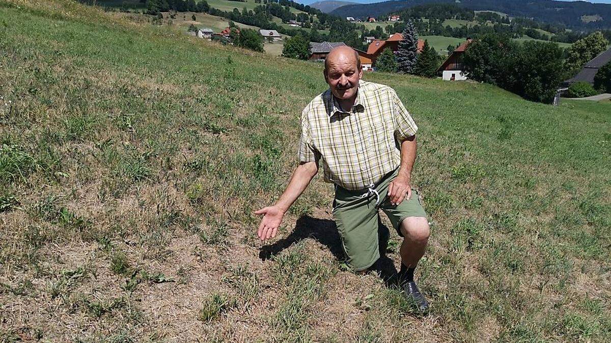 Manfred Künstner vor kahler Wiese in St. Peter/K., die grün sein sollte