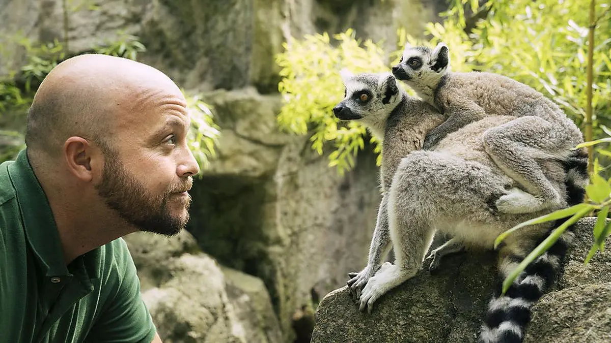 Veterinärmediziner Rene Anour ist auf „Conservation Medicine“ spezialisiert. Sie untersucht das Zusammenspiel der Gesundheit von Mensch, Tier und Umwelt  